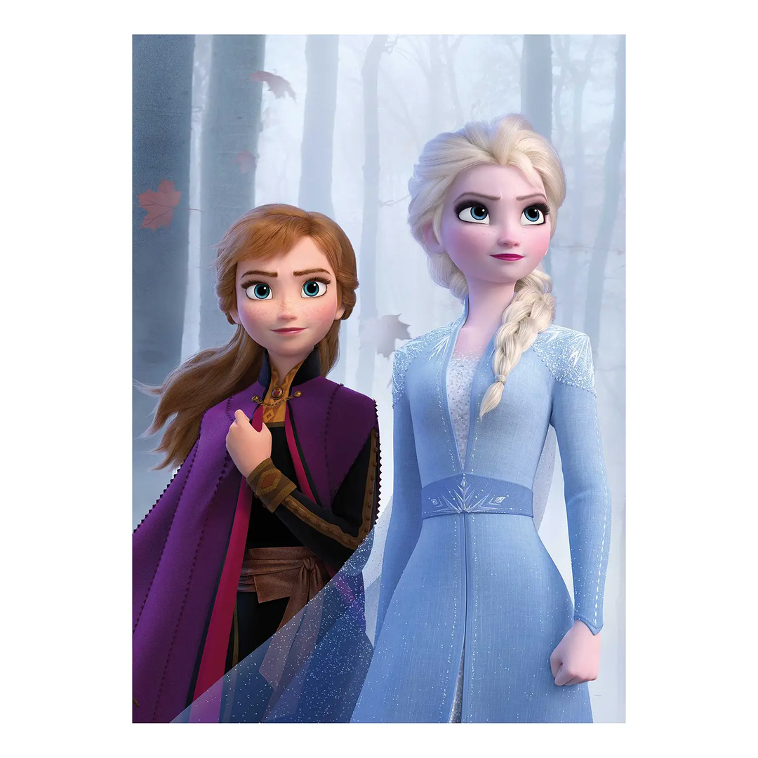 Komar Wandbild Frozen Sisters in the Wood Bild Kinderzimmerwandbild Papier 50 cm