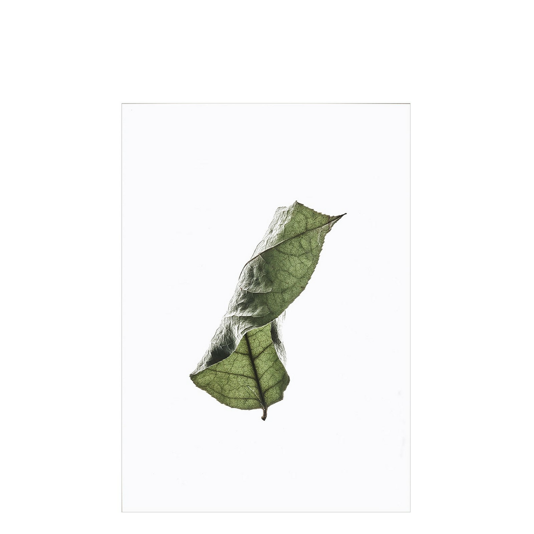 Moebe Floating Leaves Druck No. 04 A4 Wandbild Dekobild Bild Poster Kunst grün