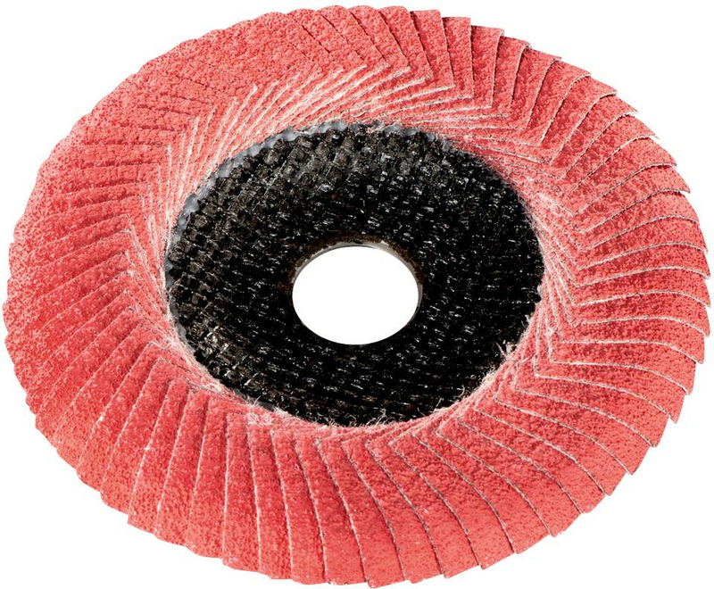 Metabo Lamellenschleifscheibe Fächerschleifscheibe Bohrungs-Ø 22.23 mm 10 Stück