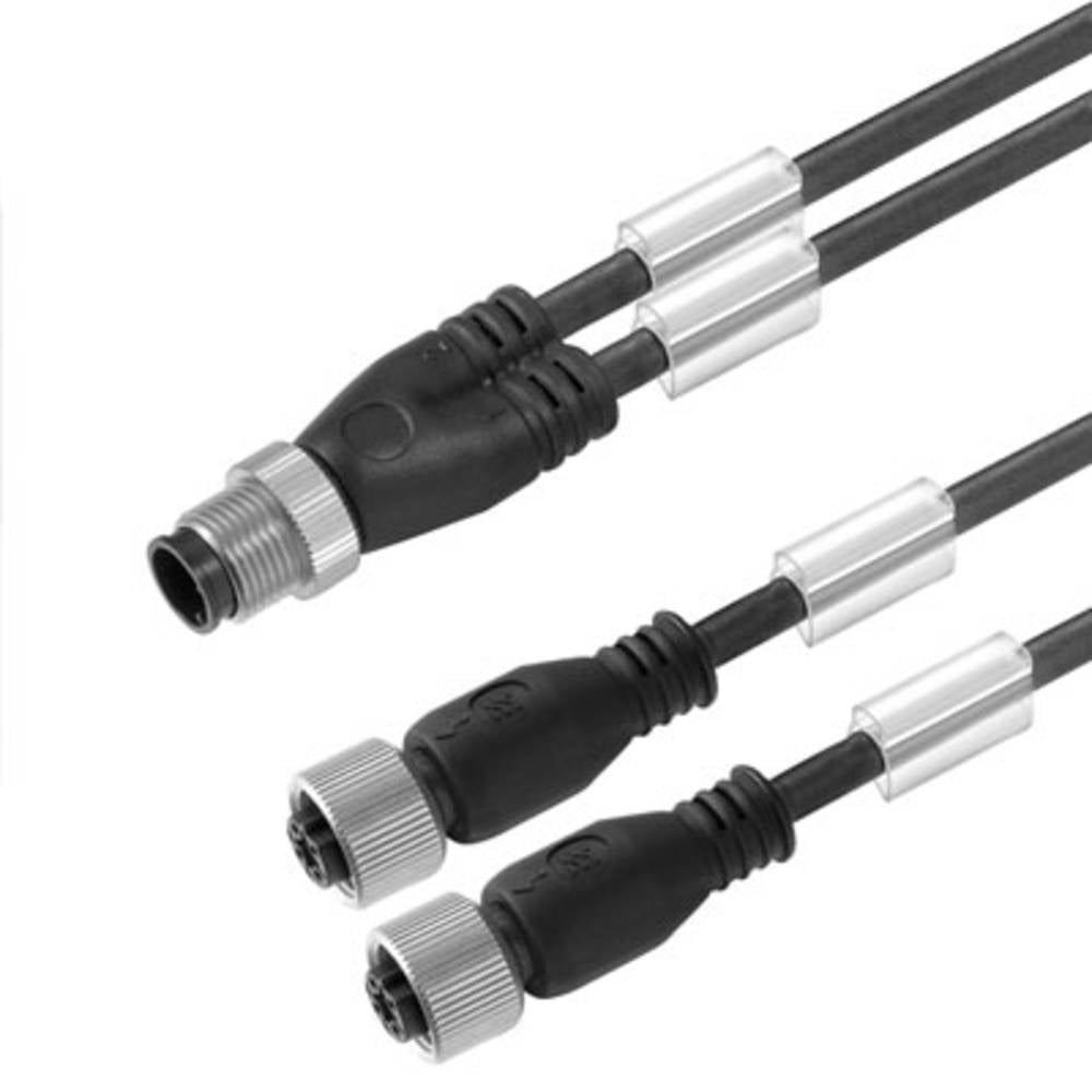 Weidmüller 1005461000 Konfektioniert M12 Buchse Sensor /Aktor Steckverbinder B-Ware - 4032248705221