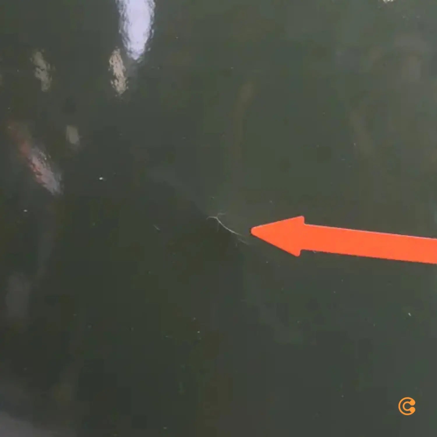 Steinhauer Olivgrüne Pendelleuchte Frisk Hängeleuchte Lampe Siehe Text/Foto B-Ware - 8712746102789