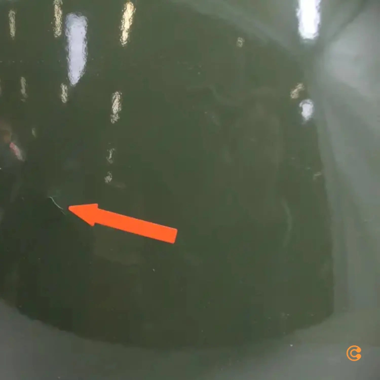 Steinhauer Olivgrüne Pendelleuchte Frisk Hängeleuchte Lampe Siehe Text/Foto B-Ware - 8712746102789