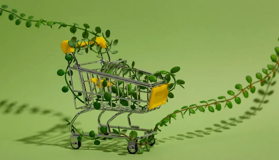 Nachhaltiges Online-Shopping