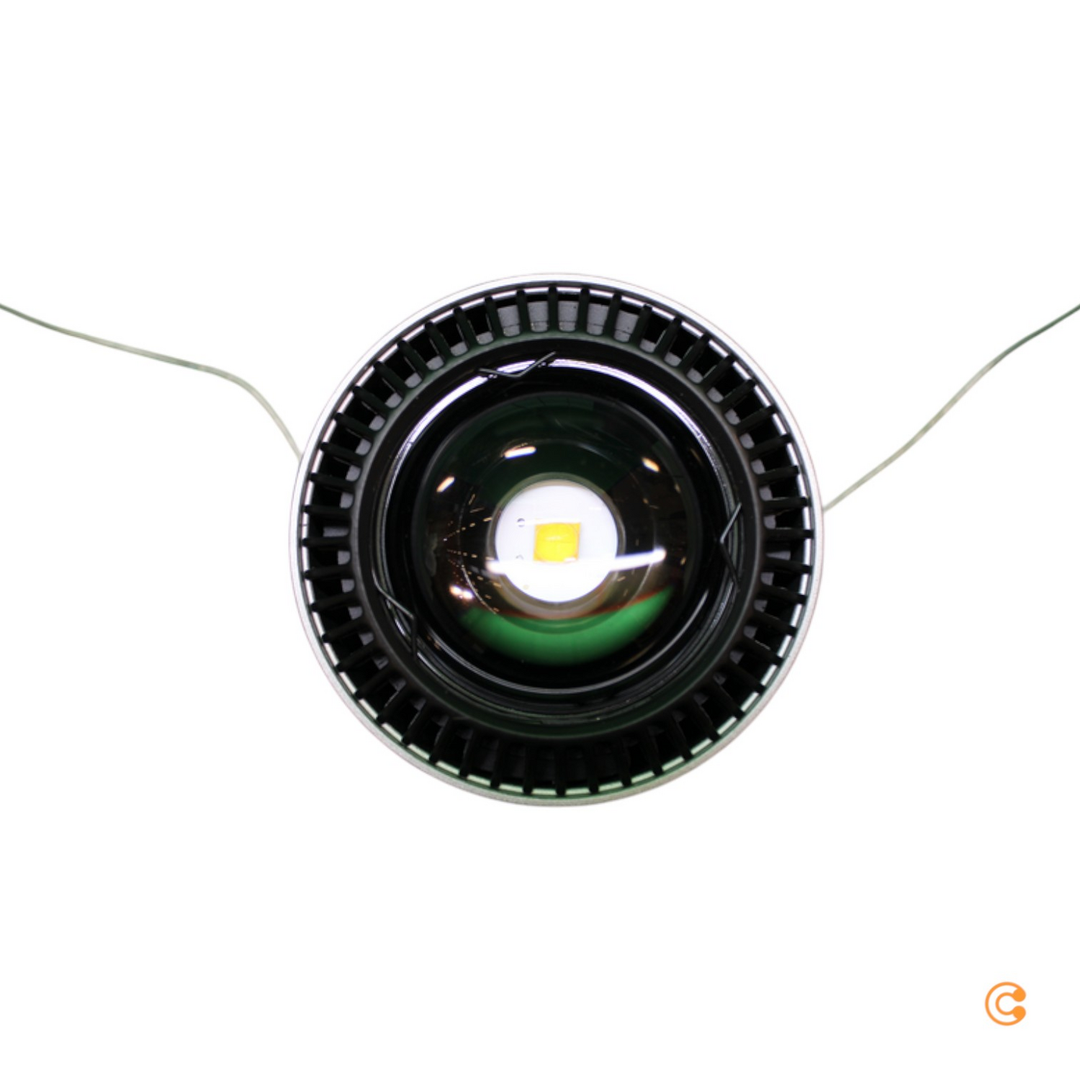 Paulmann Aldan Pendel URail 2.700K chrom matt Pendelleuchte Pendellampe Lampe