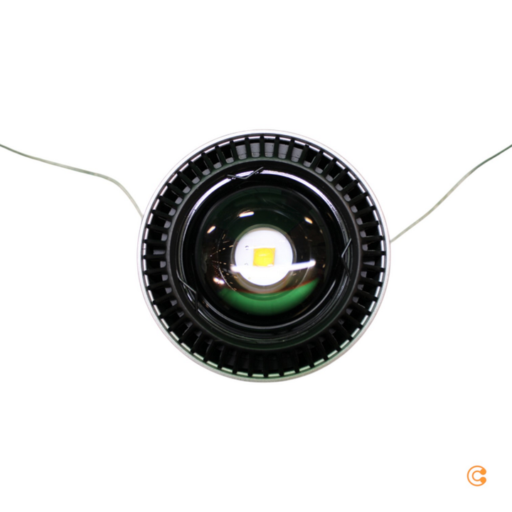 Paulmann Aldan Pendel URail 2.700K chrom matt Pendelleuchte Pendellampe Lampe