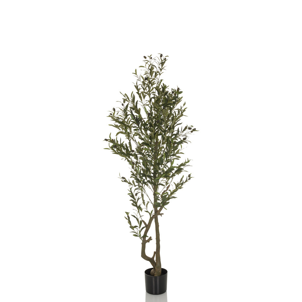 hjh OFFICE Kunstpflanze Kunstbaum OLIVE I 172 cm grün Pflanze Dekopflanze Deko - 4064323036487