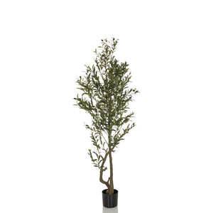B-Ware hjh OFFICE Kunstpflanze Kunstbaum OLIVE I 172 cm grün Pflanze Dekopflanze Deko