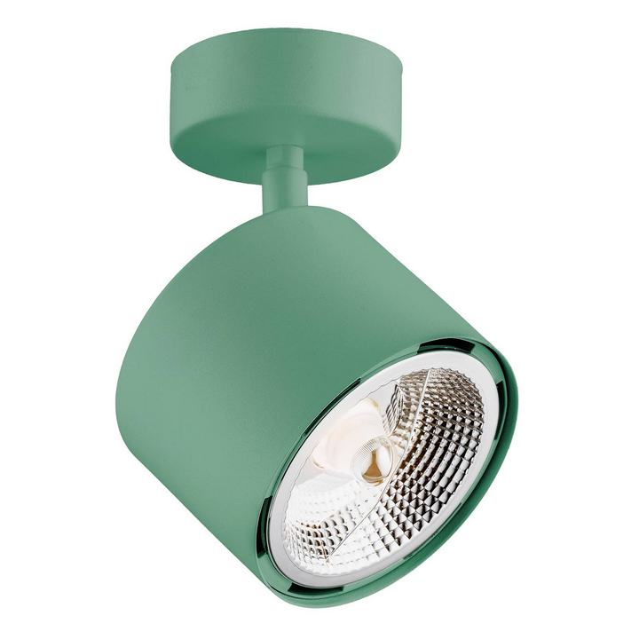 Decken Spotleuchte Chloe Verstellbar Lichtquelle Grün Deckenlampe Deckenleuchte B-Ware