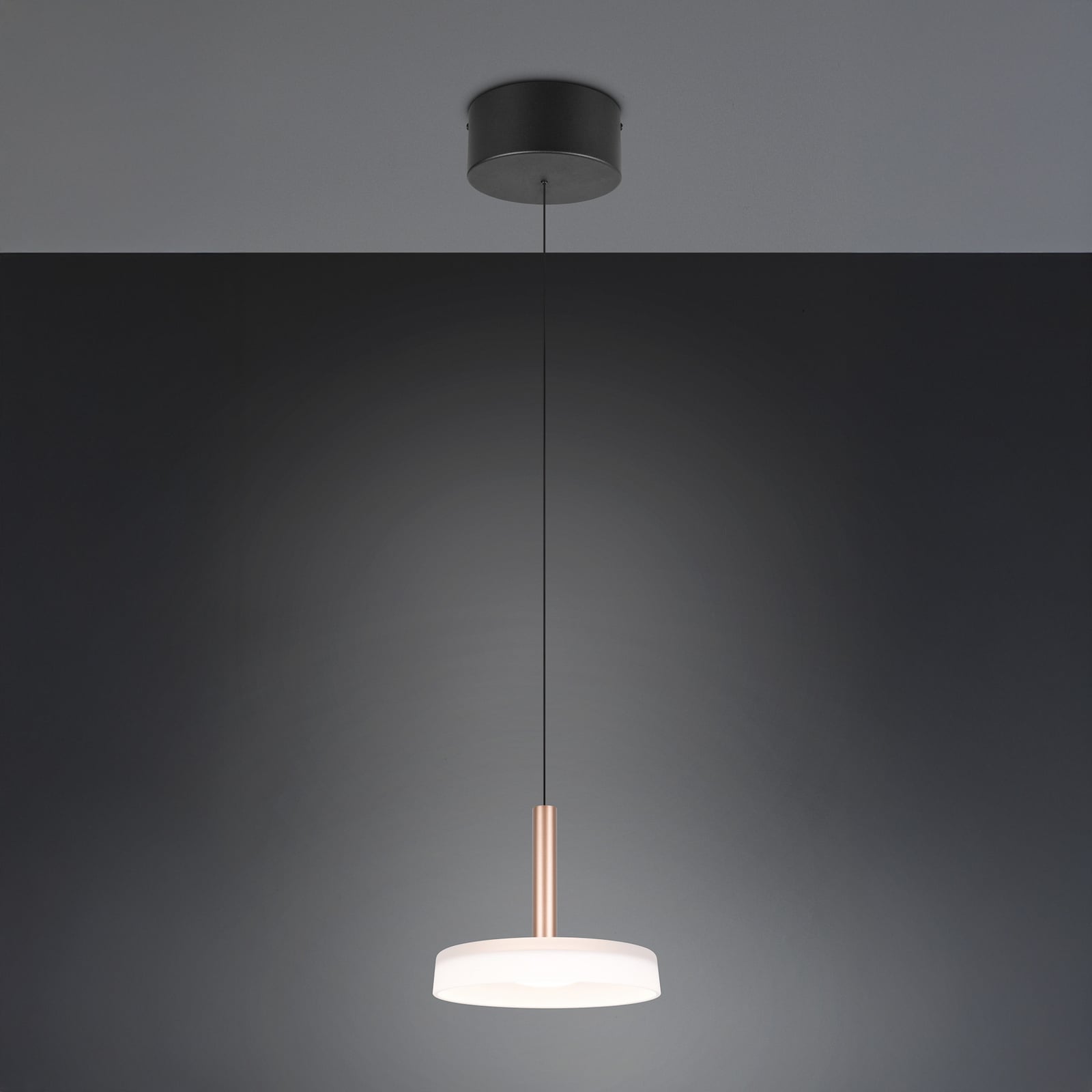 LED-Hängeleuchte Celeste weiß/braun Ø 22 cm dimmbar von TRIO LIGHTING - 4017807627381