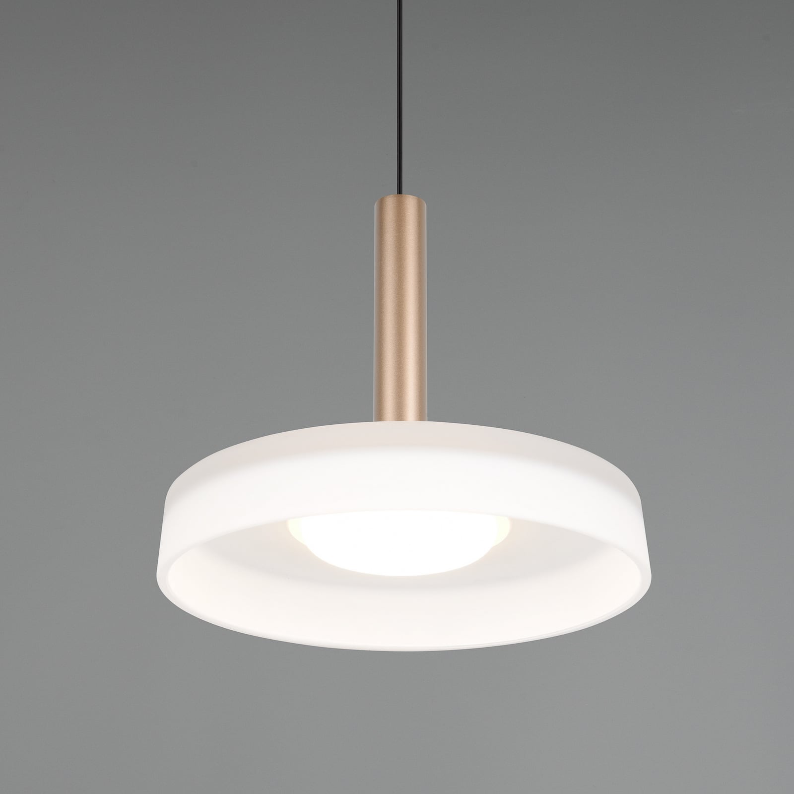 LED-Hängeleuchte Celeste weiß/braun Ø 22 cm dimmbar von TRIO LIGHTING - 4017807627381
