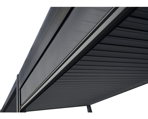 B-Ware Mirador Sonnenrollo Sichtschutz Markise Für Terrasse 300 Cm Seite Anthrazit - 4262440693884