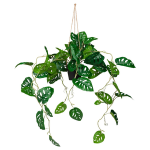 B-Ware Hjh Office Monstera Climb Kunstpflanze Dekor Künstlicher Baum Für Innenräume720