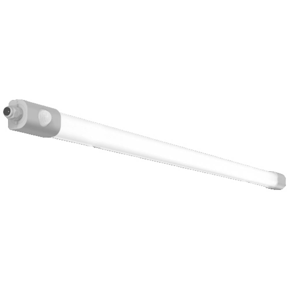 RZB 24,5/53W-4000K 1669x61x50 PC 451219.009 LED-Wandleuchte Lampe Leuchte Spot