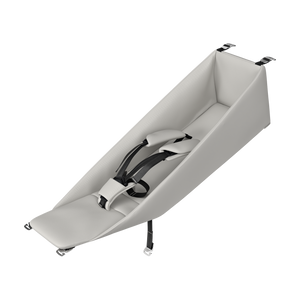 B-Ware Thule Neugeborenen-Einhang Babyschale Buggy kompatibel mit Chariot Modellen