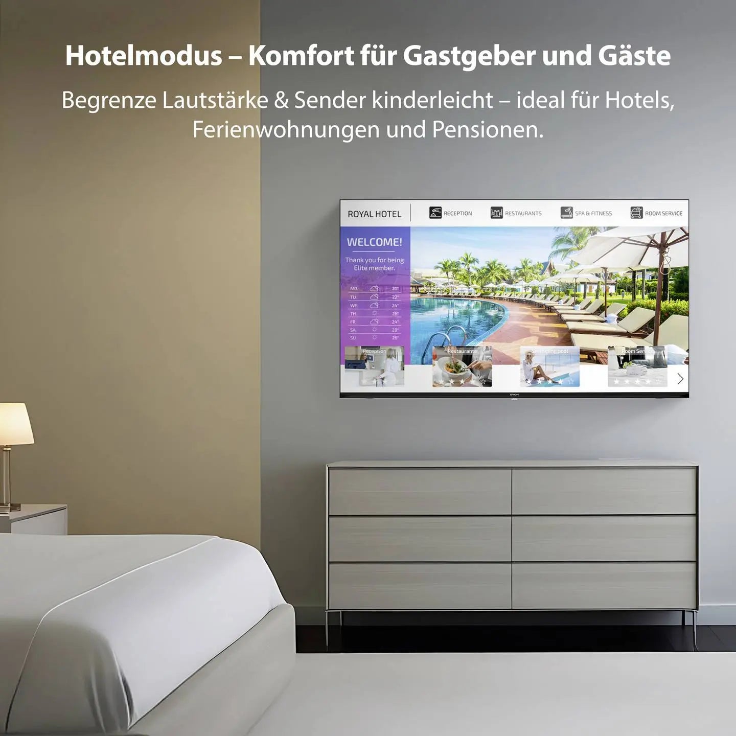 B-Ware Dyon Led Tv Fernseher Tv Schwarz Eek E (A   G)  - 4260552544520
