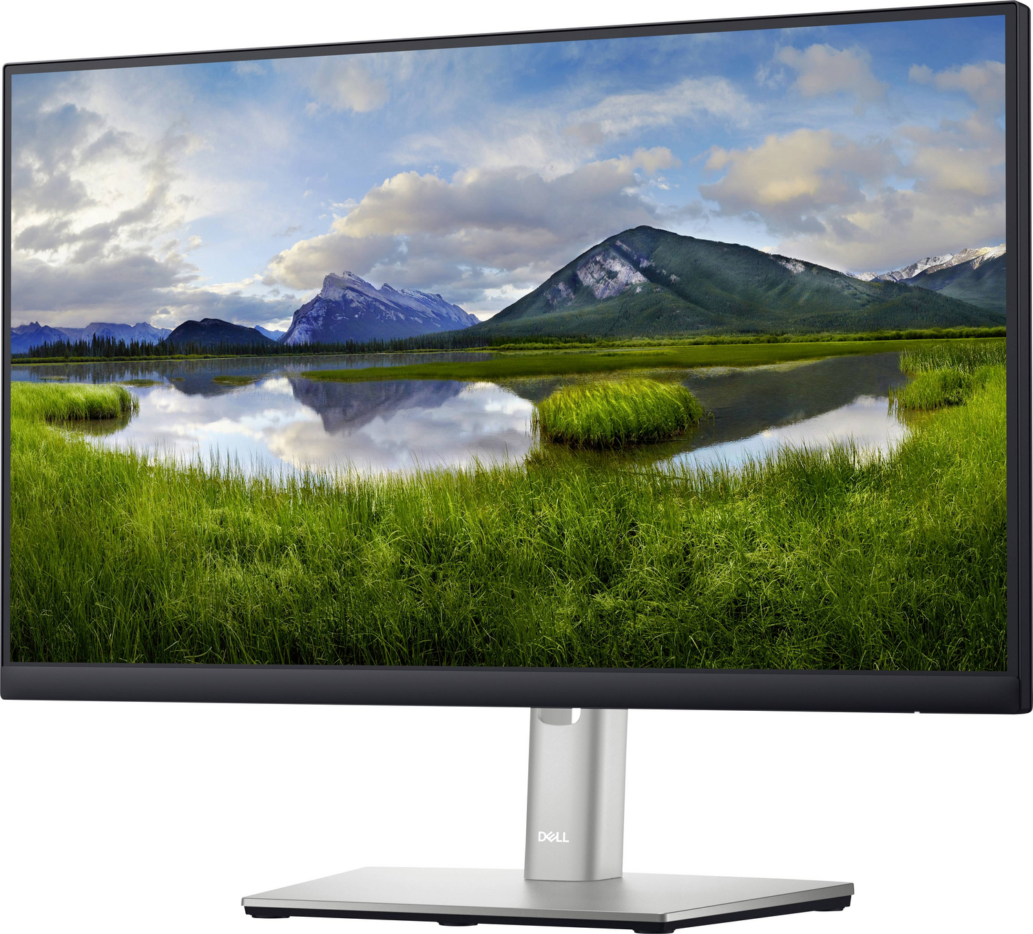 Dell P2222H LED-Monitor Computermonitor Bildschirm DEFEKTWARE