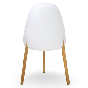 Descriptive image text