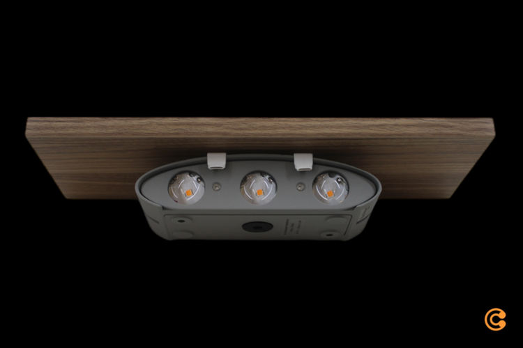 Paul Neuhaus Palma Led Wandleuchte Leuchte Lampe Wandlampe Led Leuchte Led Lampe B-Ware - 4012248358290