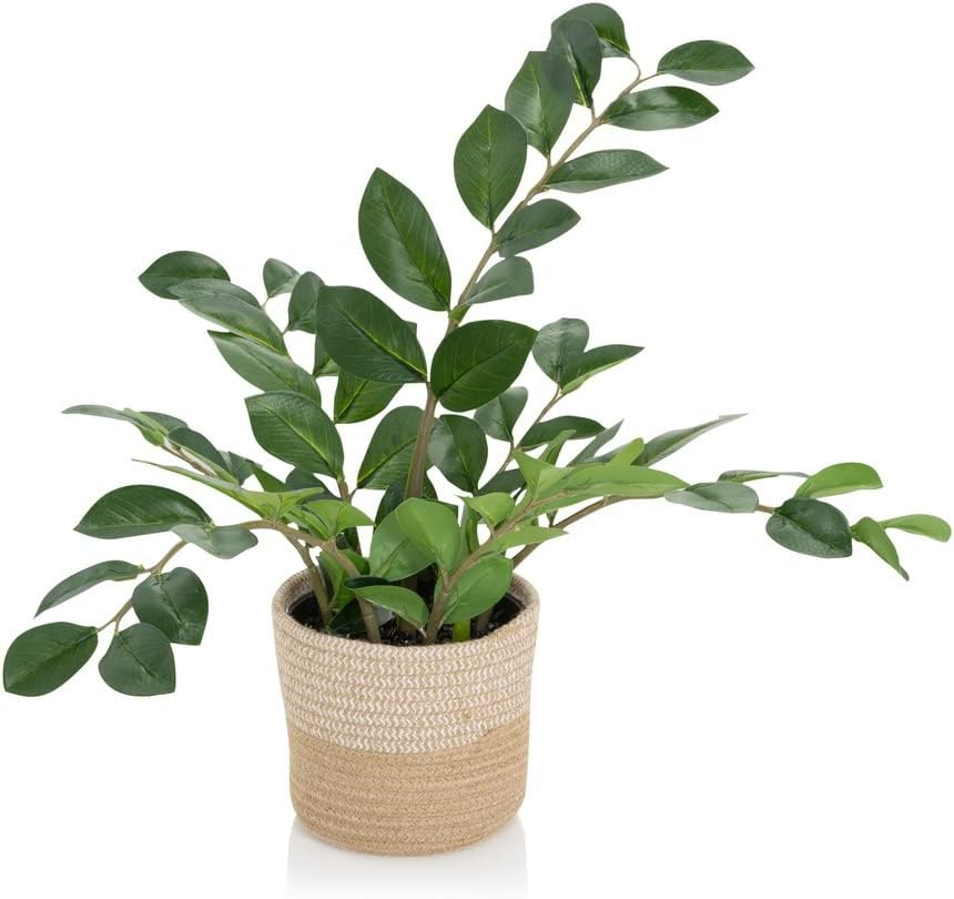 Hjh Office Kunstpflanze Kunstbaum Zamie Zamioculcas Zimmerpflanze Pflanze Grün   B-Ware