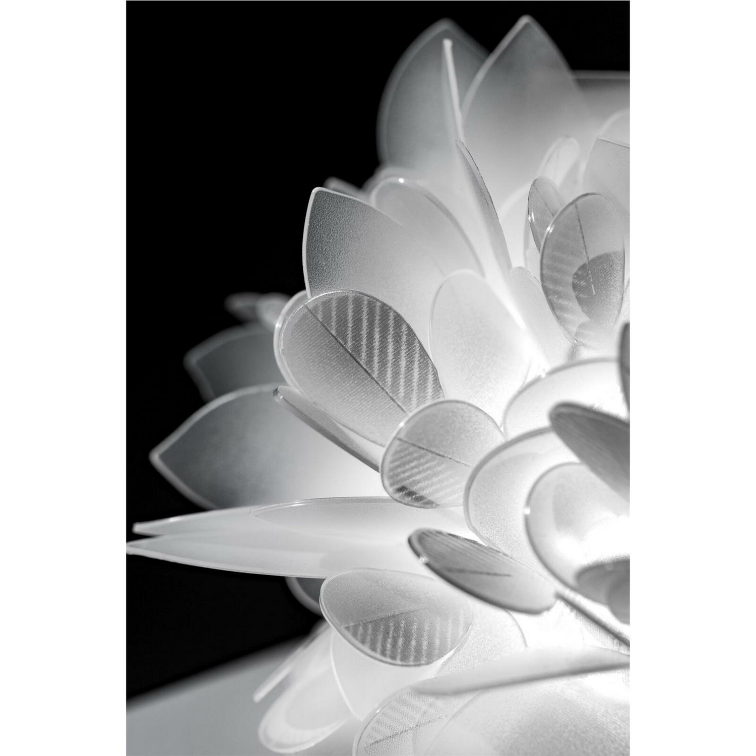 B-Ware Slamp Veli Mini Foliage Wandleuchte Deckenlampe Lampe Leuchte Wohnzimmerlampe