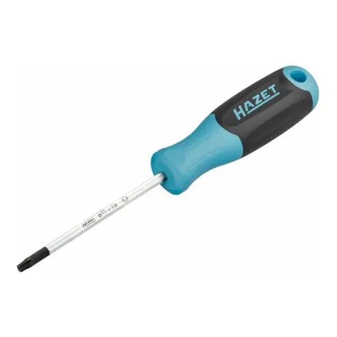 B-Ware Hazet Schraubendreher Werkzeug Torx Profil T25 Rundklinge Mattverchromt 2 Stück - 4000896258987