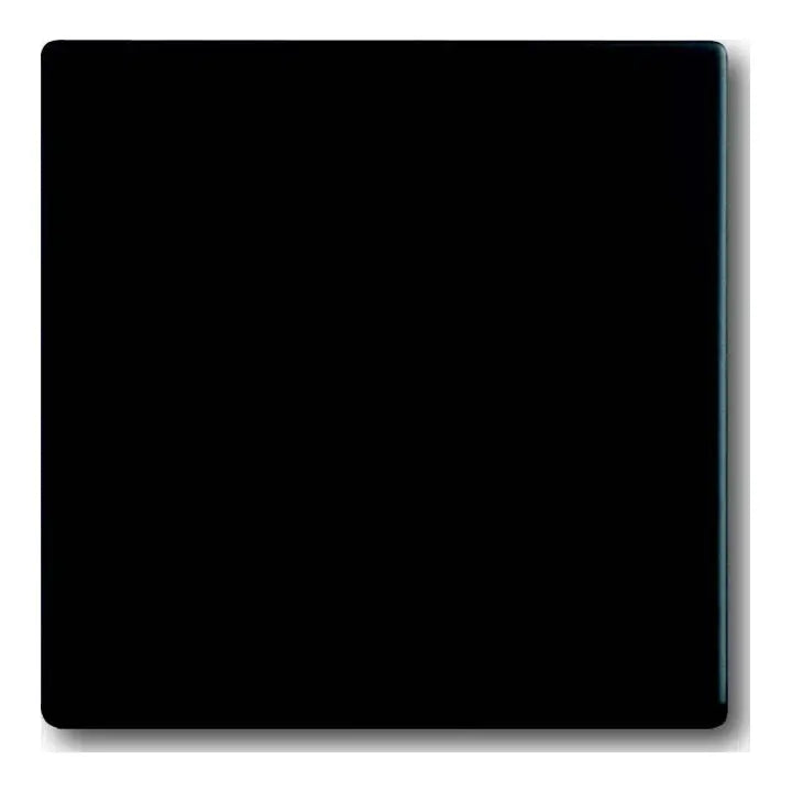B-Ware Busch Jaeger Wippe Schalter Taster Abdeckung Schwarz Kunststoff Matt 2 Stück - 4011395129685