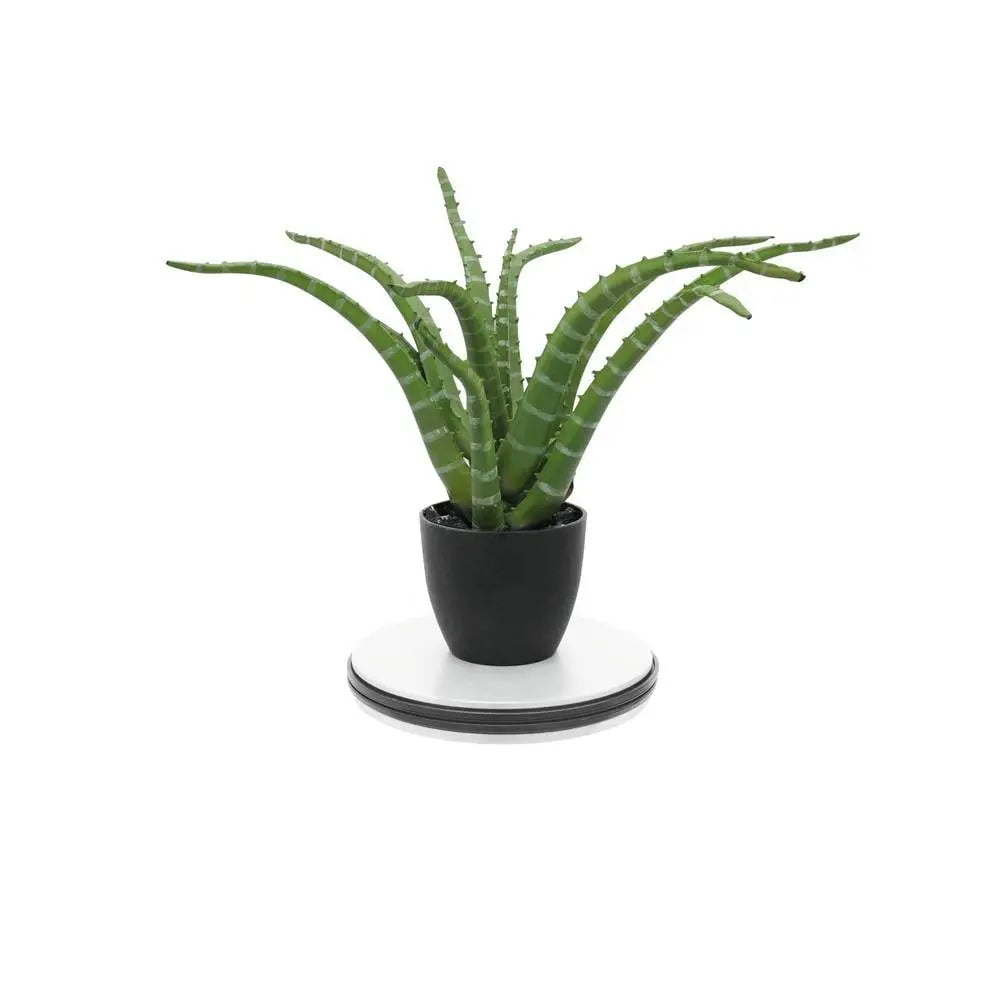 B-Ware Europalms Drehteller Plattenteller Teller Rotierender Träger Dekoartikel Events - 4026397626803