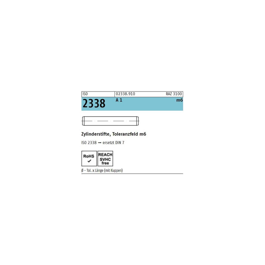 Reyher Iso 2338 Zylinderstift Stift 1.4305 10 M6 X 50 Rostfrei A 1 50 Stück  B-Ware - 405142735533