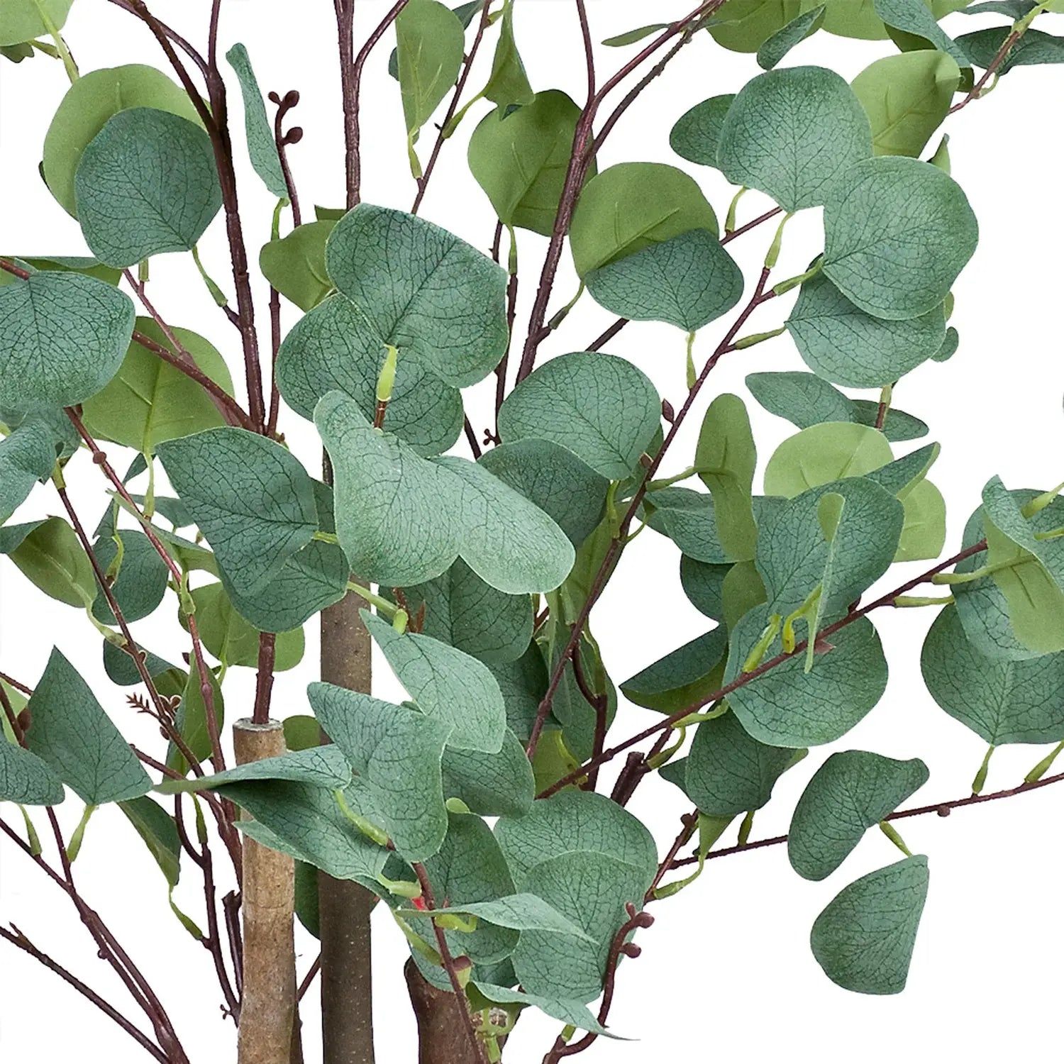 B-Ware Decovego Kunstpflanze Kunstbaum Eukalyptus Zimmerdekoration Büropflanze 120 Cm - 4059419134710