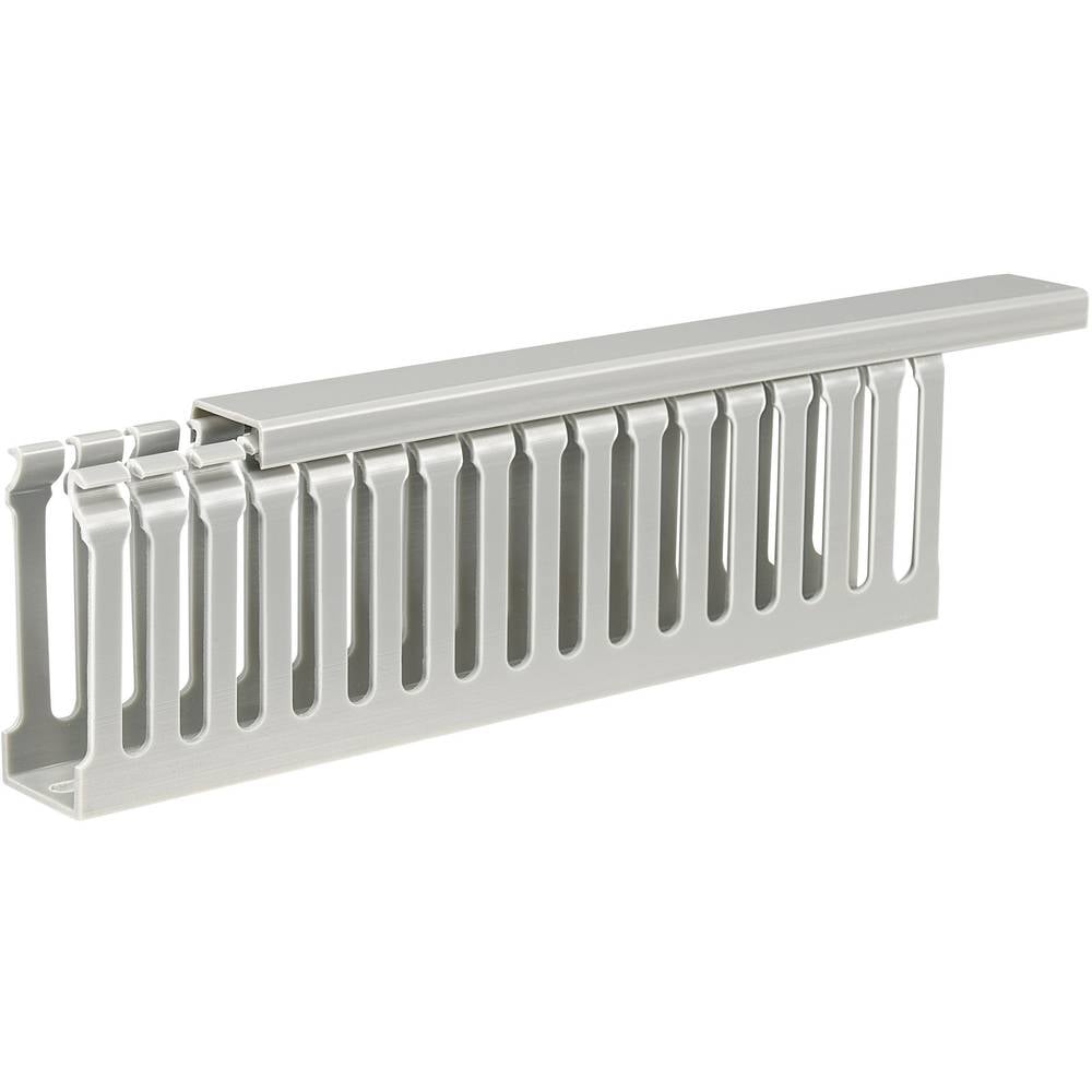 Sygonix Verdrahtungskanal Kabelkanal grau Kanal 2000 x 25 x 65 mm 30 STÜCK - 4064161205557