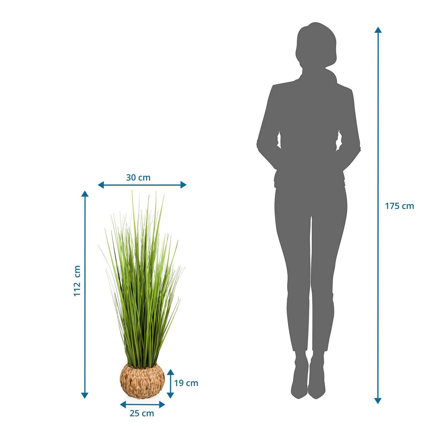 B-Ware Hjh Office Cortaderia Kunstpflanze Dekopflanze Pampasgras Natur