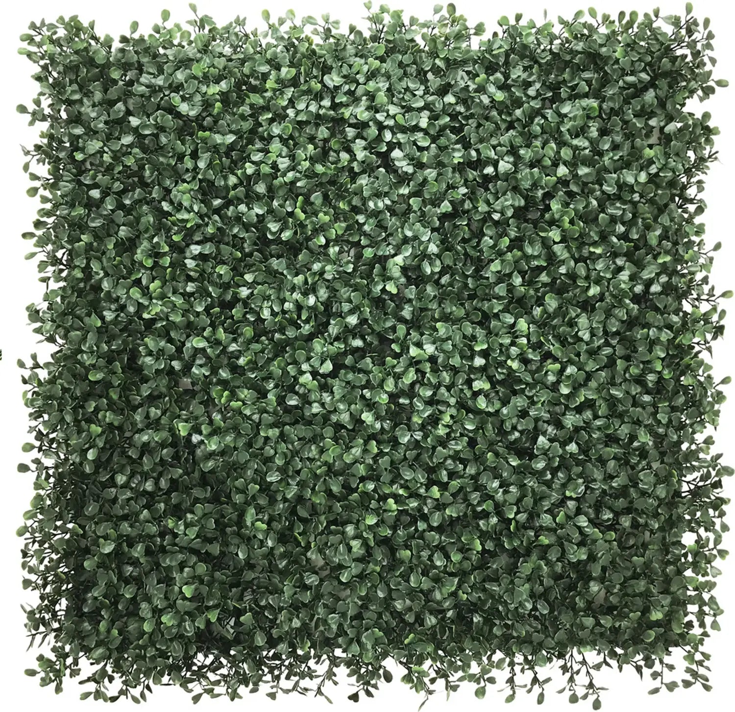 B-Ware Hjh Living Pflanzenmatte Leafluxe 1 Künstliche Pflanzenwand Wandmontage 50x50 Cm - 4064323106753