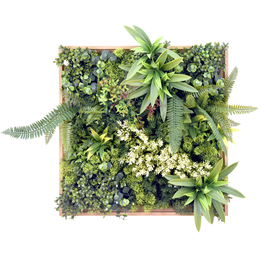 Hjh Living Pflanzenmatte / Wand Vertikaler Garten Leafluxe Wall 1 50x50cm Eckig B-Ware - 4064323106791