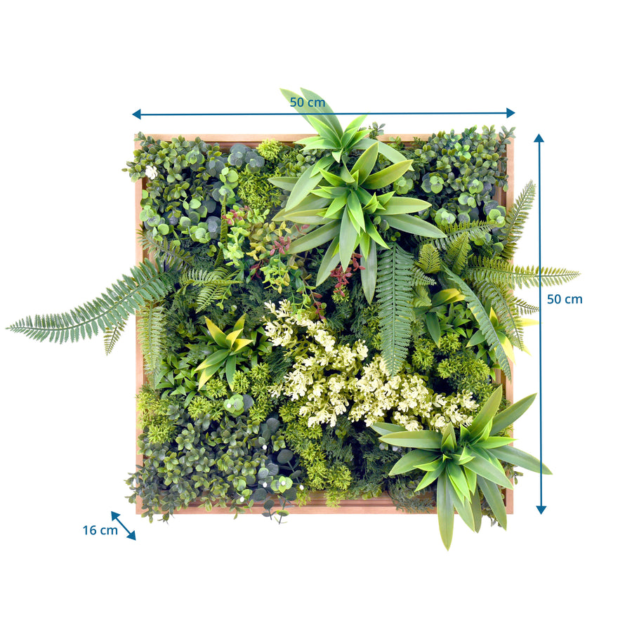 B-Ware Hjh Living Pflanzenmatte / Wand Vertikaler Garten Leafluxe Wall 1 50x50cm Eckig
