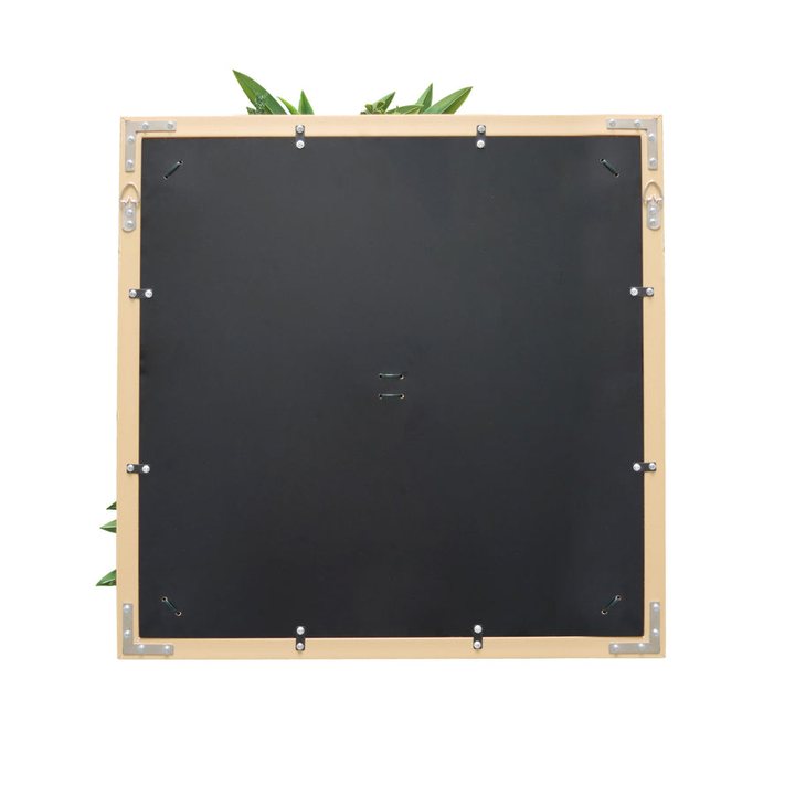 Hjh Living Pflanzenmatte / Wand Vertikaler Garten Leafluxe Wall 1 50x50cm Eckig B-Ware - 4064323106791
