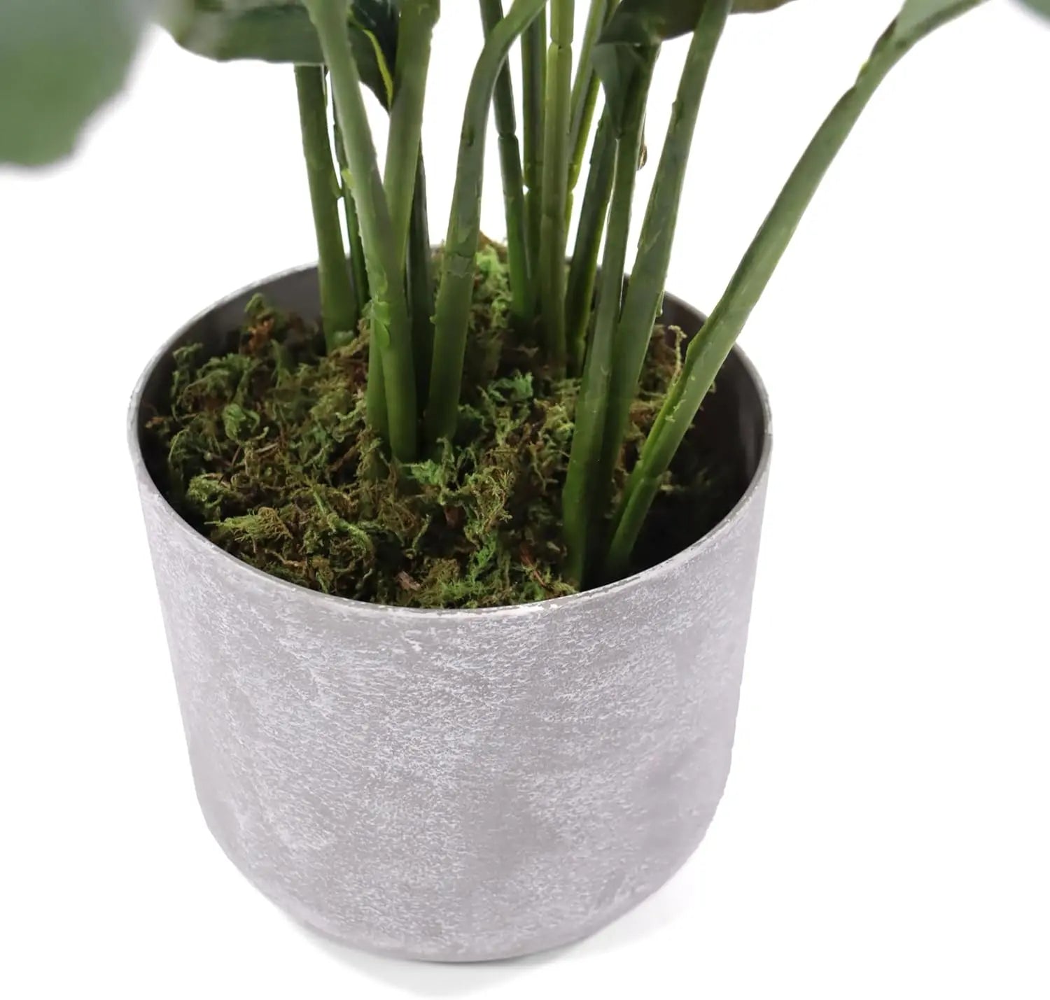 B-Ware Hjh Office Kunstpflanze Nachbildung Spathiphyllum 1 Grün Weiß Kunststoff 60x55cm - 4064323108580