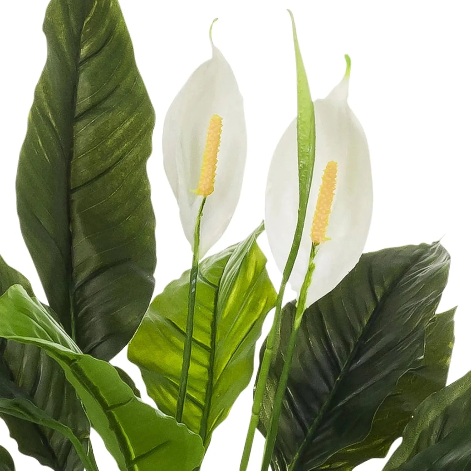 B-Ware Hjh Office Kunstpflanze Nachbildung Spathiphyllum 1 Grün Weiß Kunststoff 60x55cm - 4064323108580