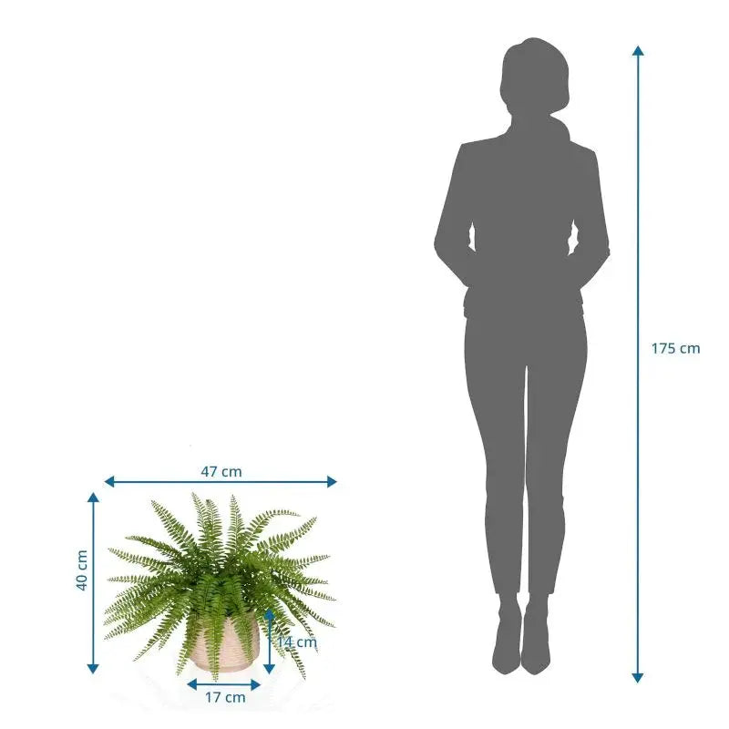 B-Ware Hjh Office Kunstpflanze Proliferum Boston Farn Grün Kunststoff 40x47 Cm Mit Topf - 4064323108726