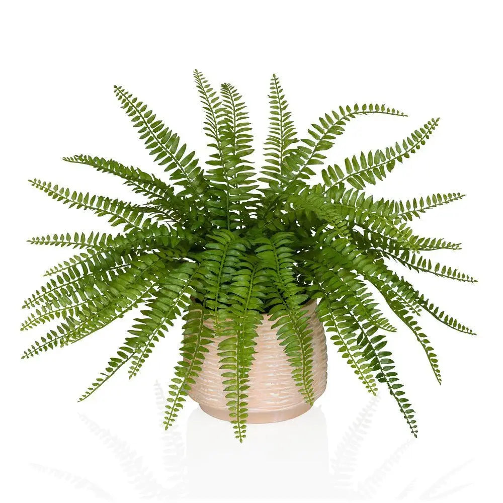 B-Ware Hjh Office Kunstpflanze Proliferum Boston Farn Grün Kunststoff 40x47 Cm Mit Topf - 4064323108726