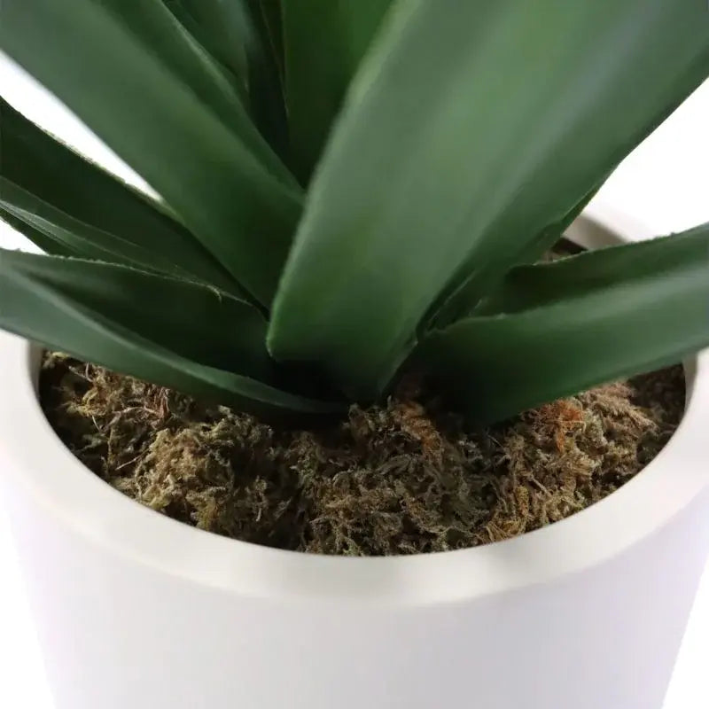 B-Ware Hjh Office Kunstpflanze Agave Deko Pflanze Grün Kunststoff Stoff 45x40 Cm Topf - 4064323108733