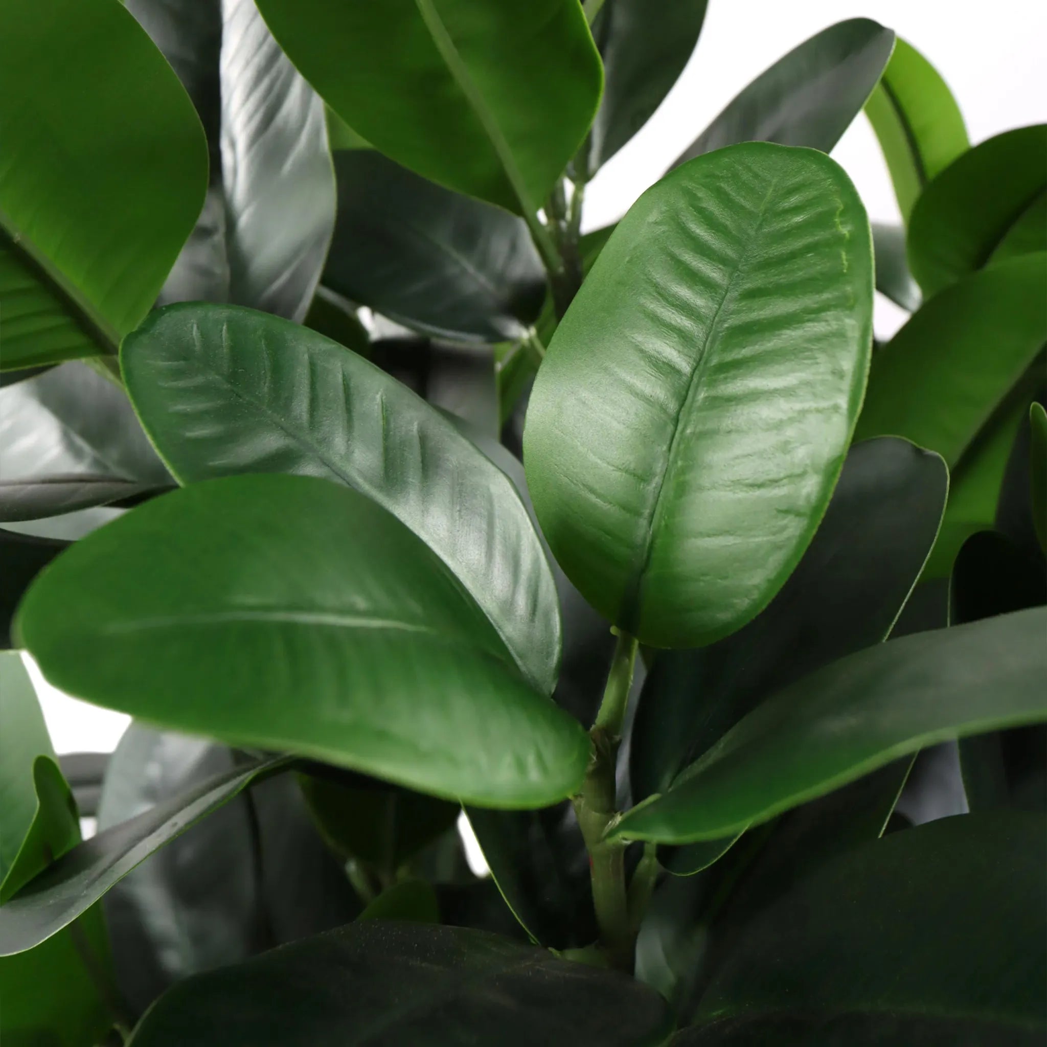 Hjh OFFICE Kunstpflanze Mangostan Garcinia Pflanze grün Kunststoff robust 120cm - 4064323108764