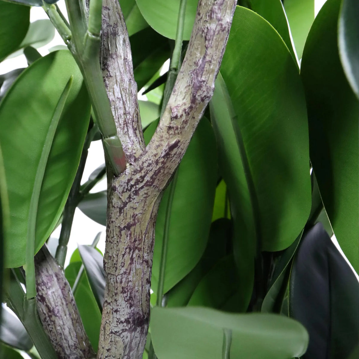 Hjh OFFICE Kunstpflanze Mangostan Garcinia Pflanze grün Kunststoff robust 120cm - 4064323108764