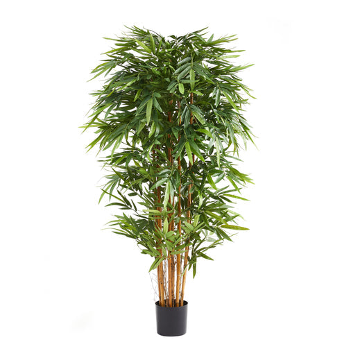 Aplanta Bambus Kunstpflanze Künstlicher Bambus Nayoko Grün 150 cm Dekopflanze - 4251703940759