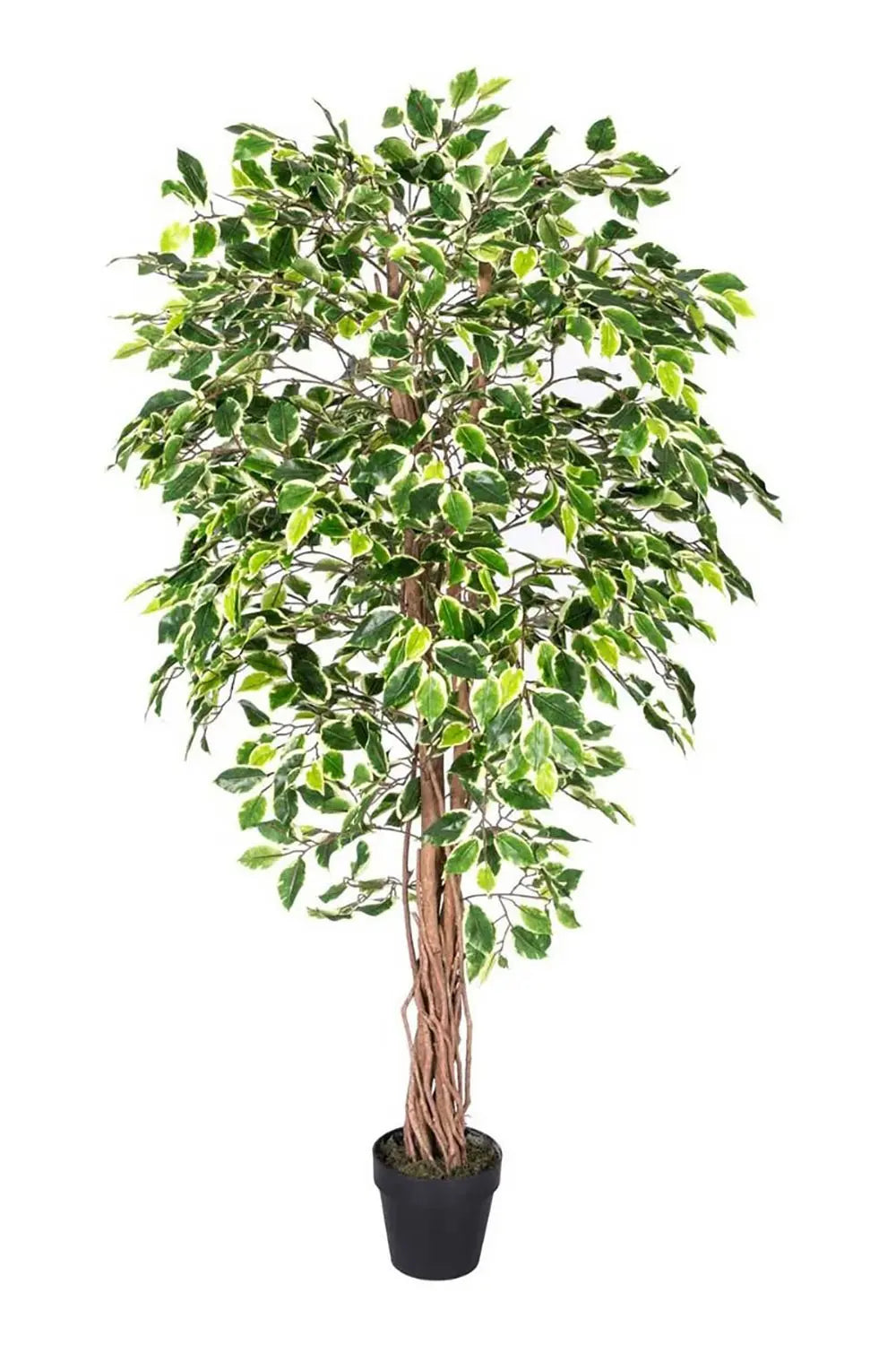 B-Ware Homescapes Kunstpflanze Kunstbaum Ficus Baum Pflanze Grün Handgefertigt 180 Cm - 5055967421424