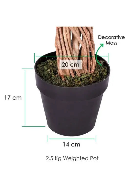 B-Ware Homescapes Kunstpflanze Kunstbaum Ficus Baum Pflanze Grün Handgefertigt 180 Cm - 5055967421424