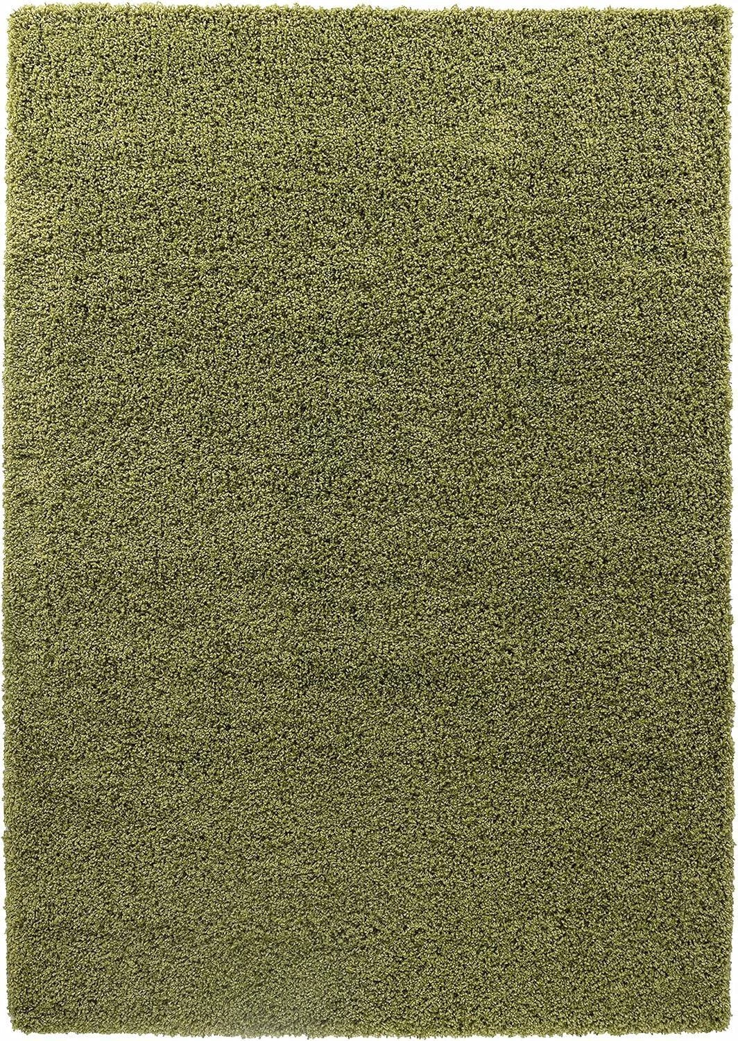 B-Ware Serdim Rugs Teppich Zottel Wohnzimmer Grün 80x150cm Polypropylen