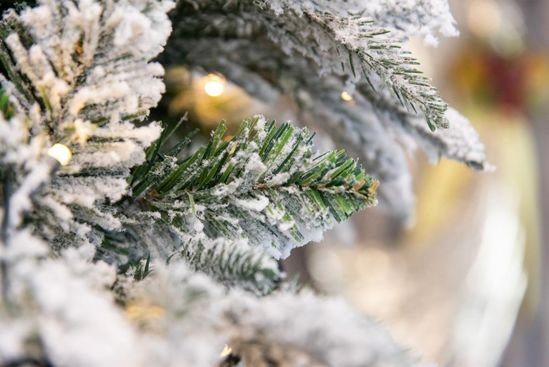 Shatchi Weihnachtsbaum Tannenbaum Christbaum 1,2 M Grün Lapland Warmweiß Le Ds  B-Ware - 5056141037936