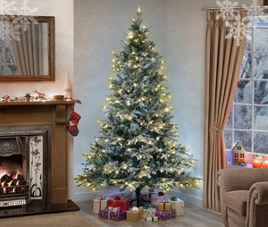 Descriptive image text