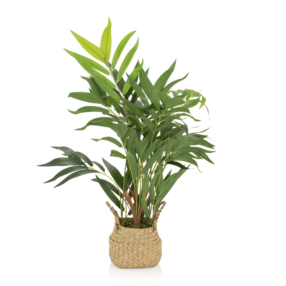 B-Ware Hjh Office Kunstpflanze Kunstbaum Chamaedorea Bambuspalme 80 Cm Pflanze Stoff787