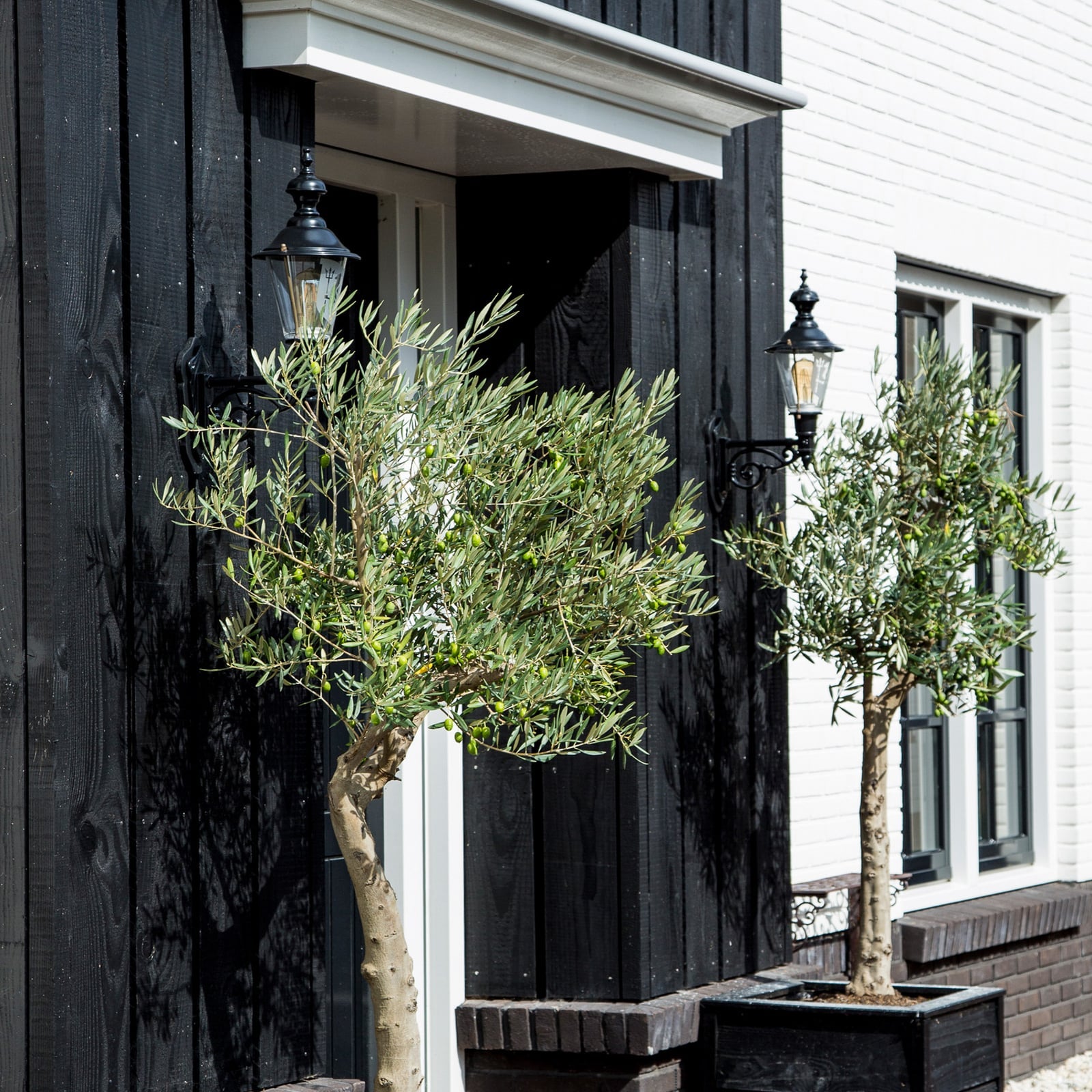 Nostalgische Außenwandleuchte Edam M grün kupfer dimmbar IP44 1x60W Aluminium - 8714732120401